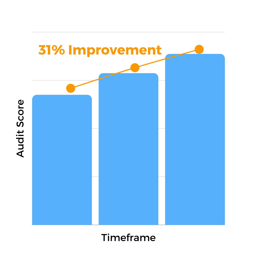 Audit Score (3)